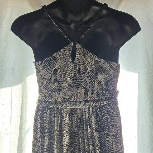 Express Snakeskin Dress - Picture 4 of 10